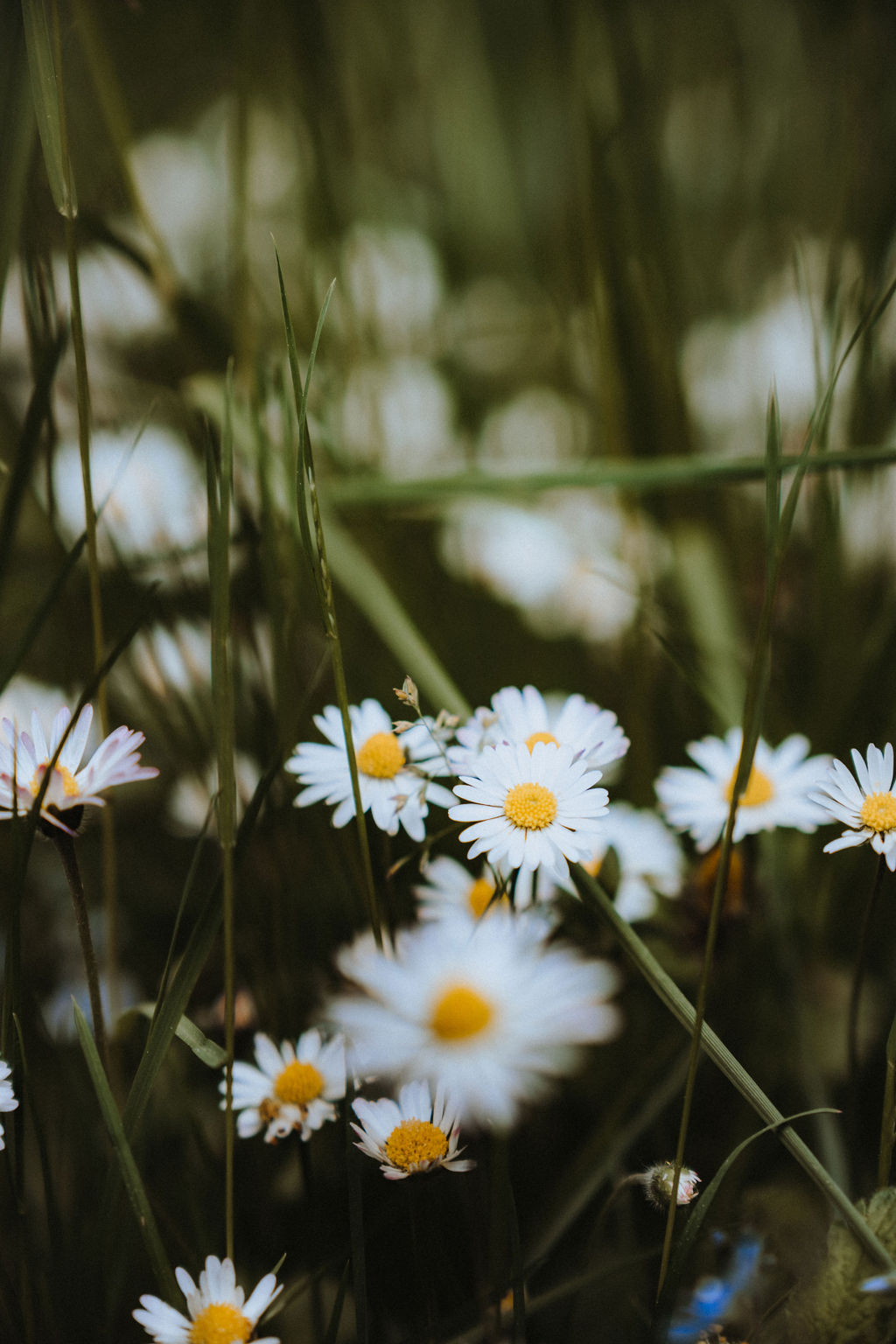 © Antje Hamann