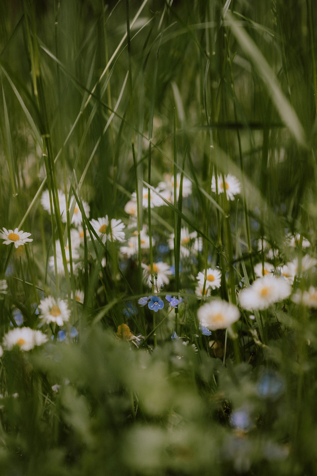 © Antje Hamann