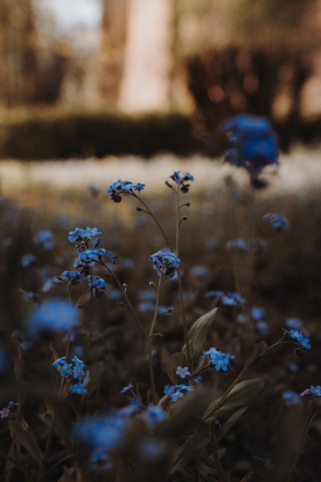 © Antje Hamann