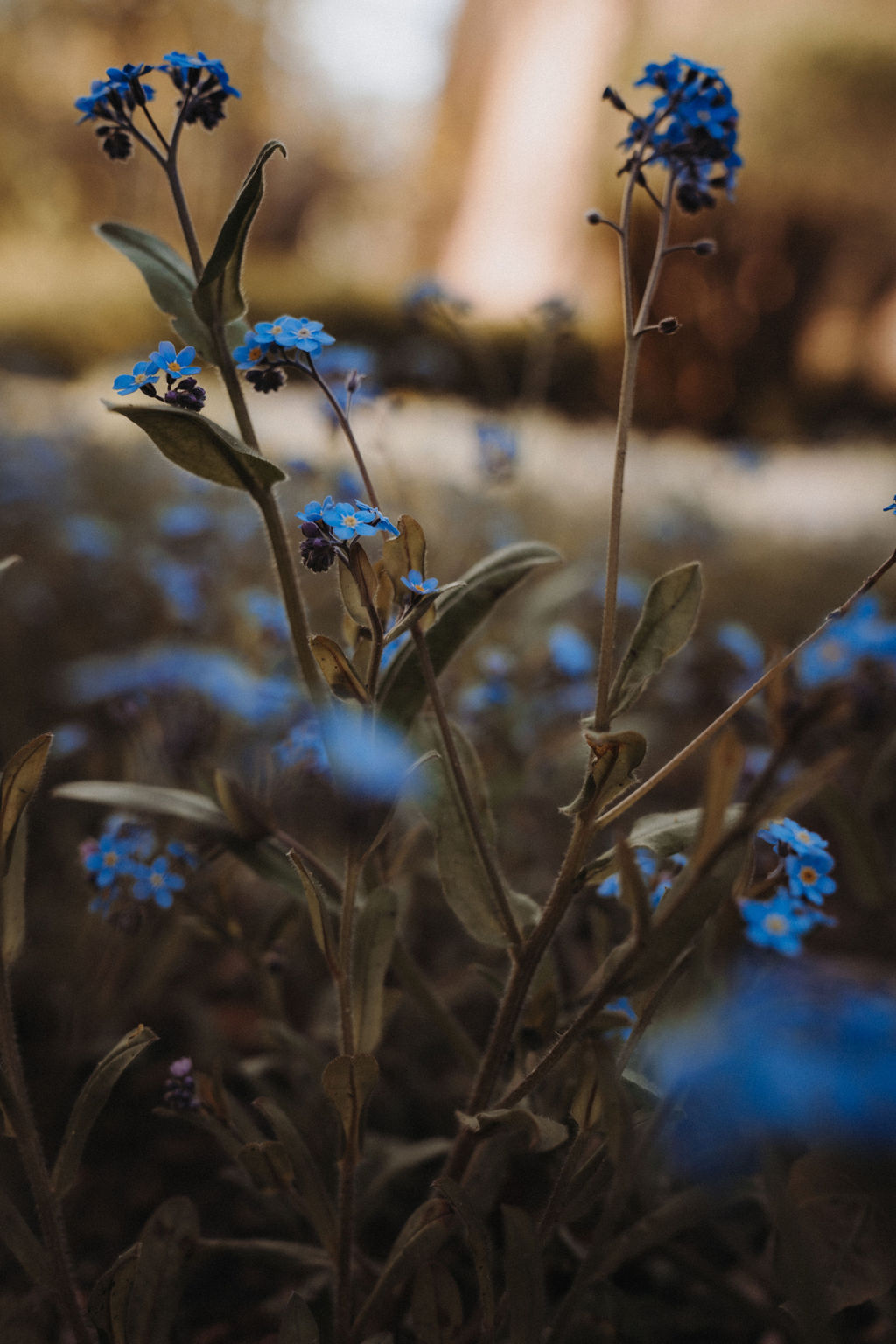 © Antje Hamann