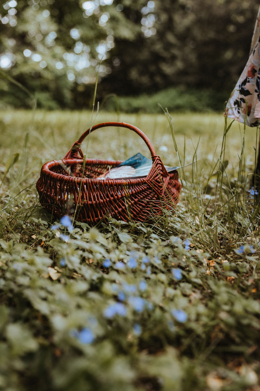 © Antje Hamann