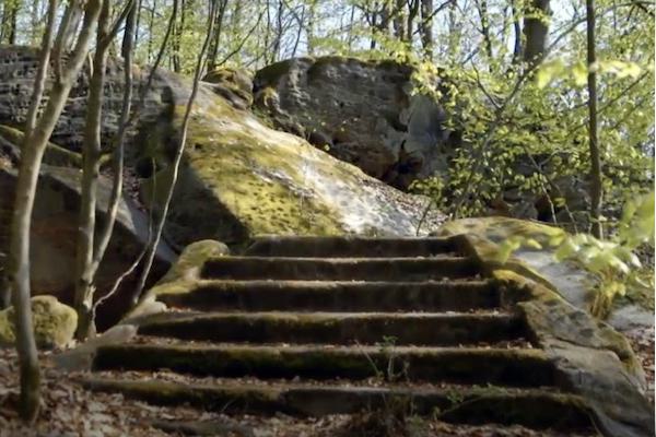 Die Felsen von Hohenstein